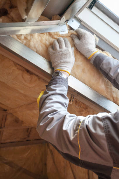 Best Insulation Installation Services in Belleville, MI