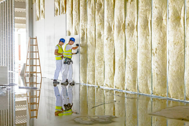 Best Insulation Materials and Products in Belleville, MI